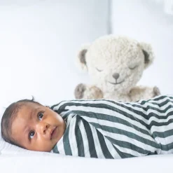 100% Organic Swaddle Blanket