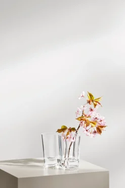 Aalto Vase in Clear