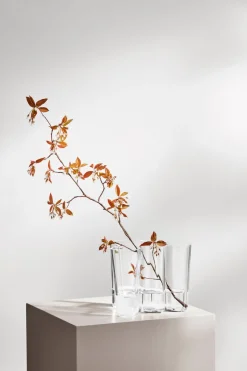 Aalto Vase in Clear