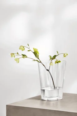 Aalto Vase in Clear