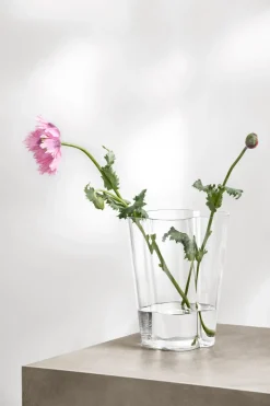 Aalto Vase in Clear