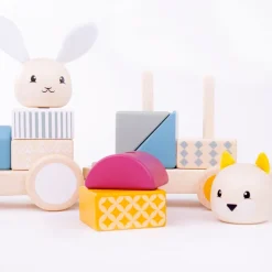 Activity Pull Along Train