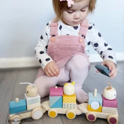 Activity Pull Along Train