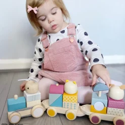 Activity Pull Along Train