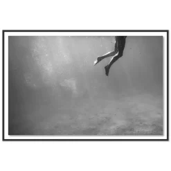 Afternoon Swim Print