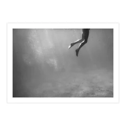 Afternoon Swim Print