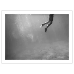 Afternoon Swim Print