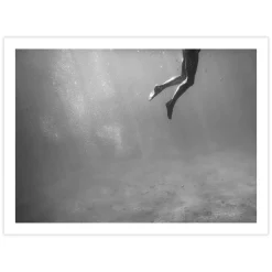 Afternoon Swim Print