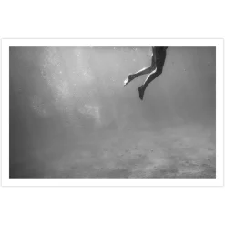 Afternoon Swim Print