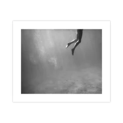 Afternoon Swim Print