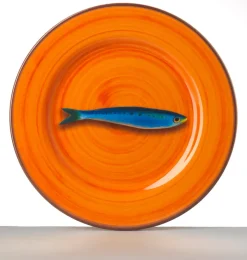 Aimone Melamine Dinner Plate