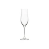 Alice Collection Flutes 9 fl oz in Clear, Set of 6
