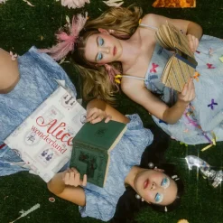 Alice in Wonderland Art Novel