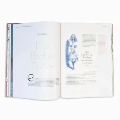Alice in Wonderland Art Novel