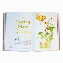 Alice in Wonderland Art Novel