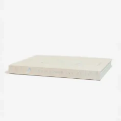 Alice in Wonderland Art Novel