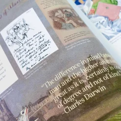 Alice in Wonderland Art Novel Collector’s Edition