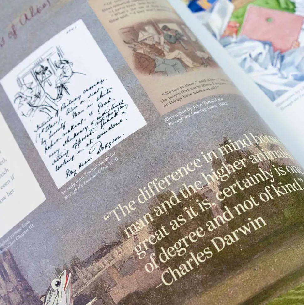 Alice in Wonderland Art Novel Collector’s Edition