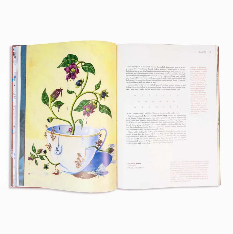 Alice in Wonderland Art Novel Collector’s Edition