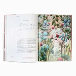 Alice in Wonderland Art Novel Collector’s Edition