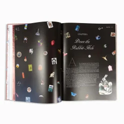 Alice in Wonderland Art Novel Collector’s Edition