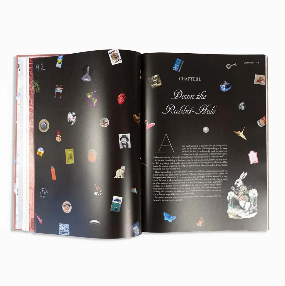 Alice in Wonderland Art Novel Collector’s Edition