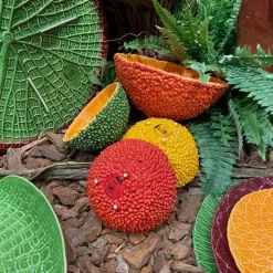 Amazonia Bowl 6", Set of 2