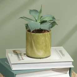 Andean Myrtle Signature Candle