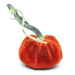 Apricot Silk Velvet Pumpkin