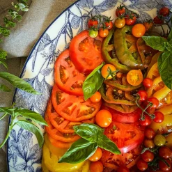 Arbor Rimmed Dinner Plate Blue