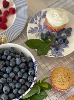 Arcadia Canape Plates in Blue, Set of 4