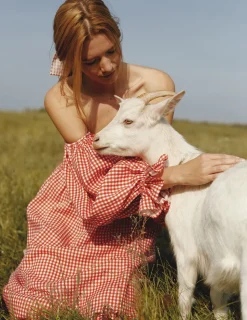 Atlanta Linen Dress in Red Gingham