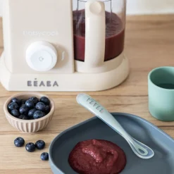 BÉABA Babycook® Solo Baby Food Maker