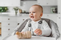 BÉABA Up & Down High Chair with Cushion in Grey