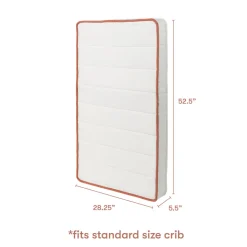 babyletto x Avocado Dual-stage, Organic & Non-Toxic Crib Mattress in White