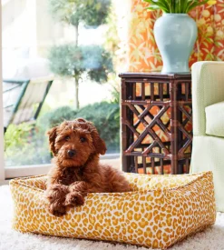 Backyard Bengal Small Dog Bed