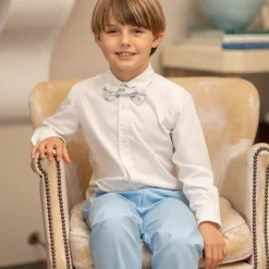 Baker Bow Tie in Heirloom Delft