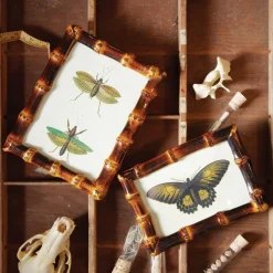 Bamboo Photo Frames, Set of 2
