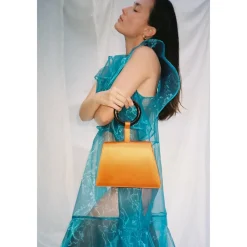 Bangle Bag in Orange