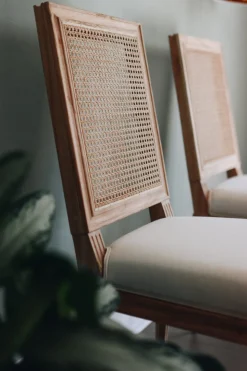 Bienville Chair with Cane