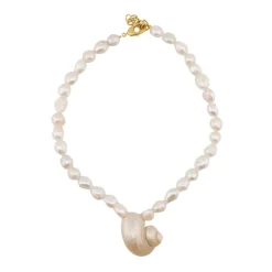 Big Shell Necklace