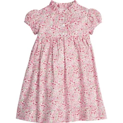 Birdie Dress in Fairfax Floral