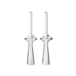 Bloom Botanica Candleholder, Set of 2