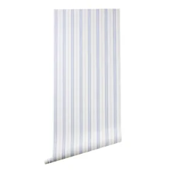 Blue & Blush Halo Stripe Wallpaper