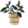 Bolga Planter