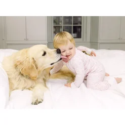 Boston Two Piece Kids Pajamas