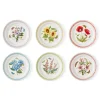 Botanic Garden Meadow Dinner Plates, Set of 6
