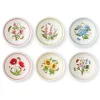 Botanic Garden Meadow Pasta Bowls, Set of 6