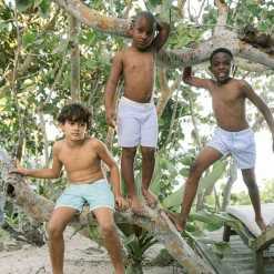 Boys Bay Lavender Board Short