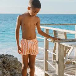 Boys Swizzle Stripe Boardie